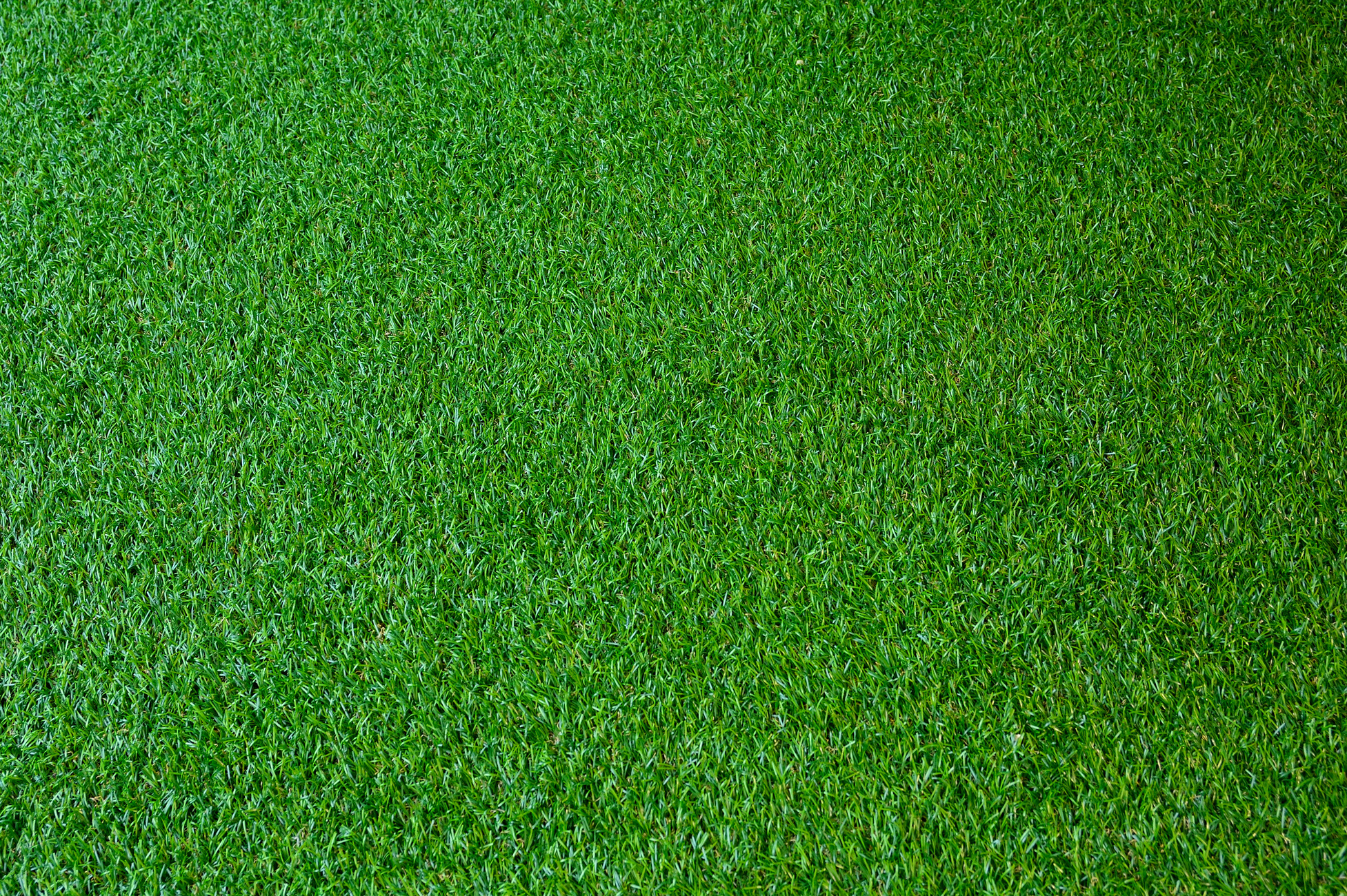 Artificial Grass,grass